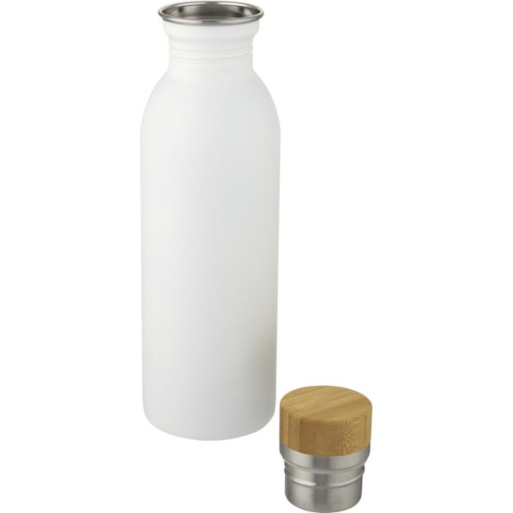 Derwent 650 ML Stainless Steel Water Bottle