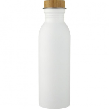 Derwent 650 ML Stainless Steel Water Bottle