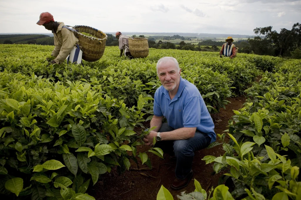 Peter Marks in Fairtrade tea field in Kericho Kenya