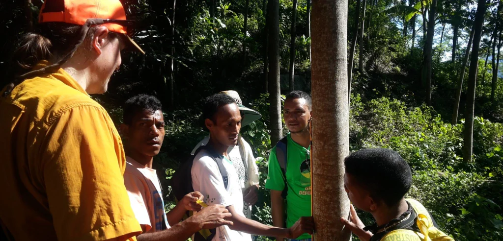 Reforestation Baguia 2017