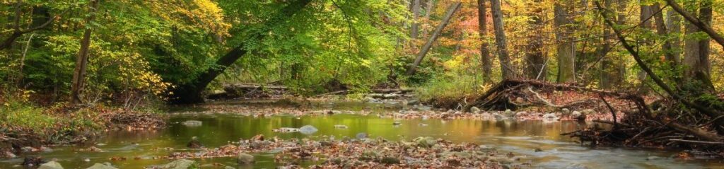 Riverbed Banner