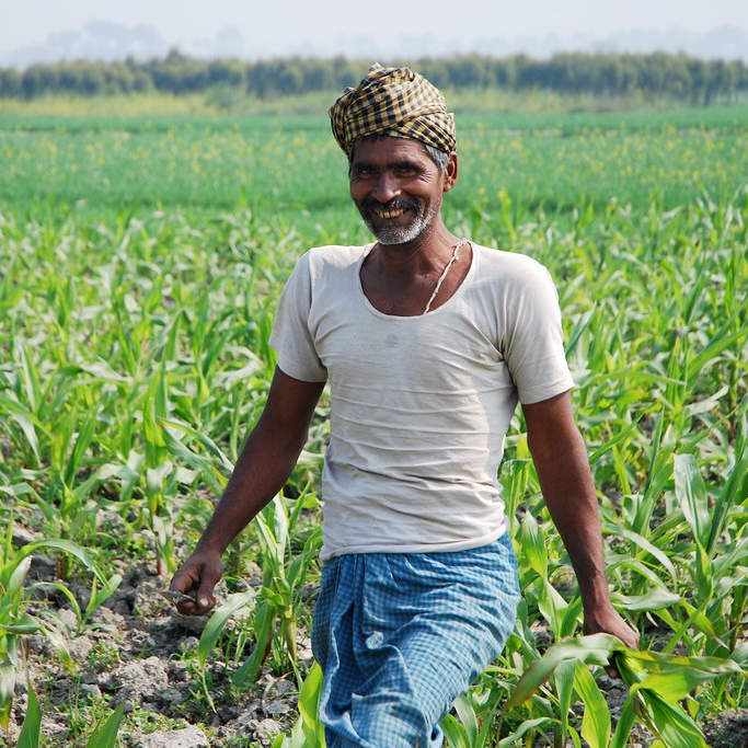 Happy Maze Farmer