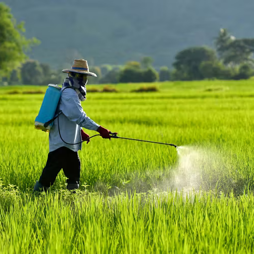 Pesticides