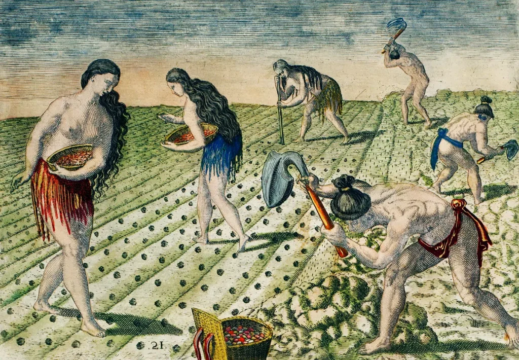 old farmingwebp